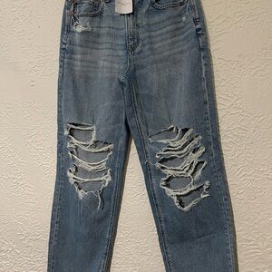 American Eagle Outfitters Light Blue Distressed Boyfriend Jeans
